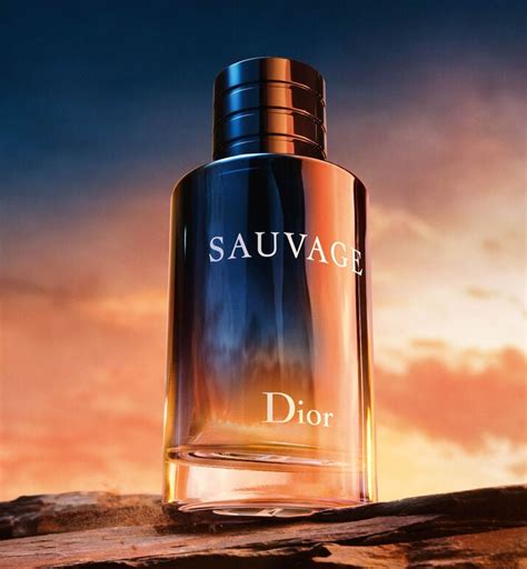 dior sauvage dp kodu|sauvage Dior.